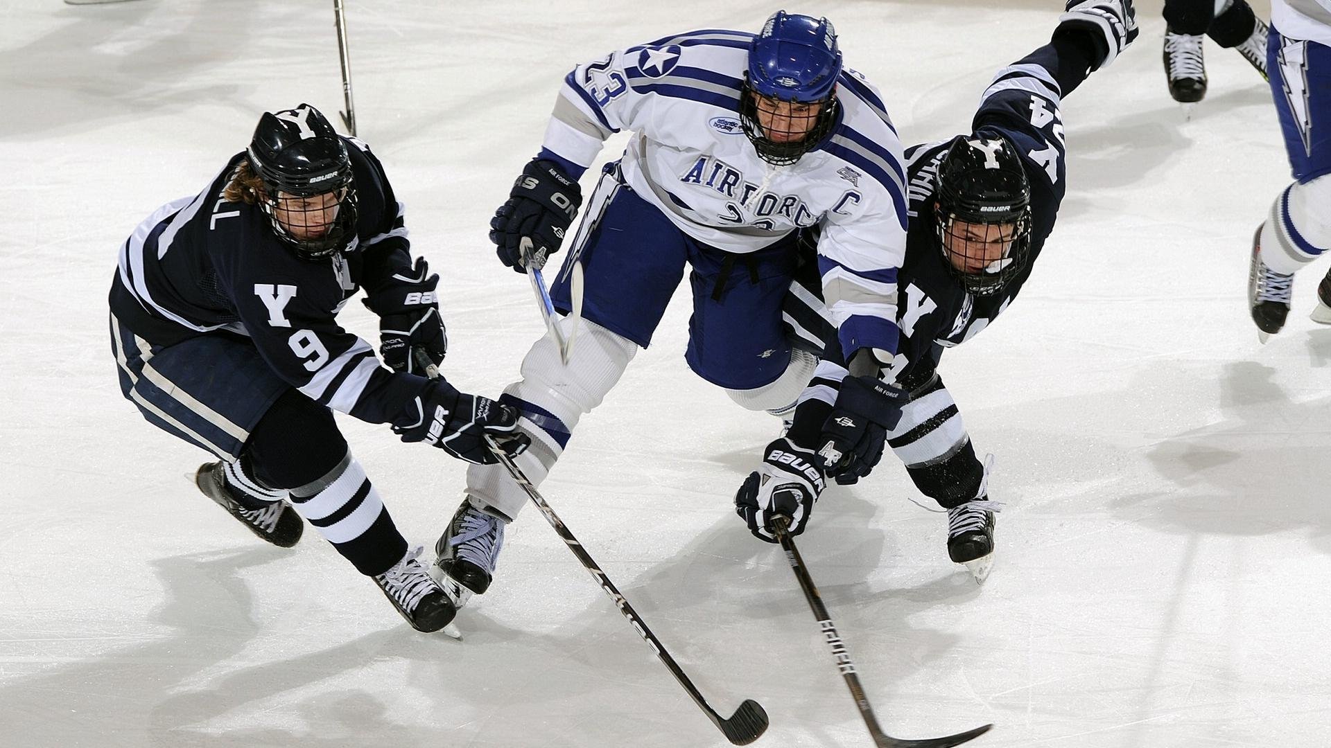 篮球青训项目受社会资本关注吸引多方投资，篮球 青训